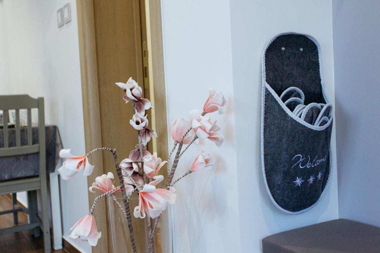 Apartmani Mikic Palić المظهر الخارجي الصورة